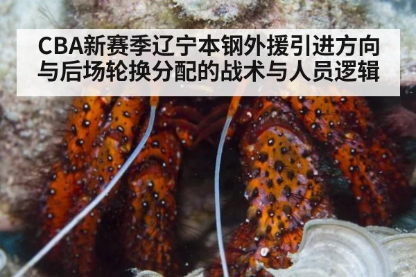 CBA新赛季辽宁本钢外援引进方向与后场轮换分配的战术与人员逻辑