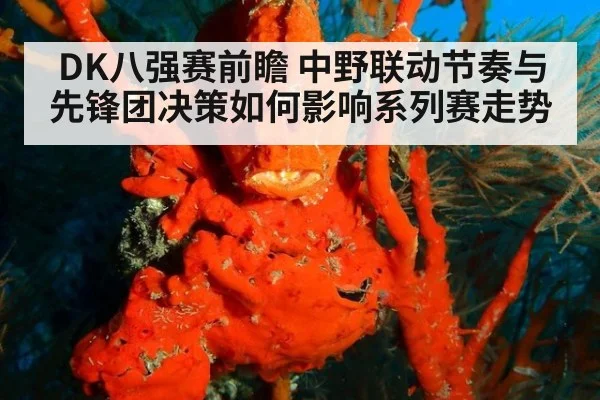 DK八强赛前瞻 中野联动节奏与先锋团决策如何影响系列赛走势